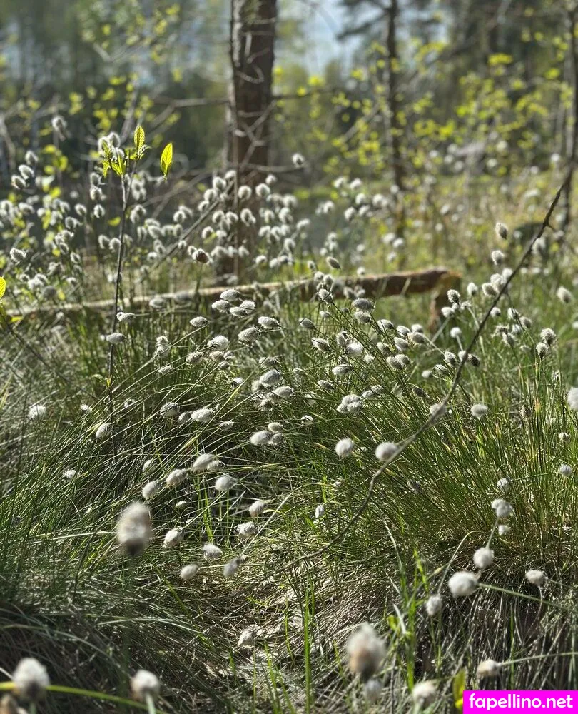 girloftheforest Nude Leaked OnlyFans Photo #Ti0DVwH4RC