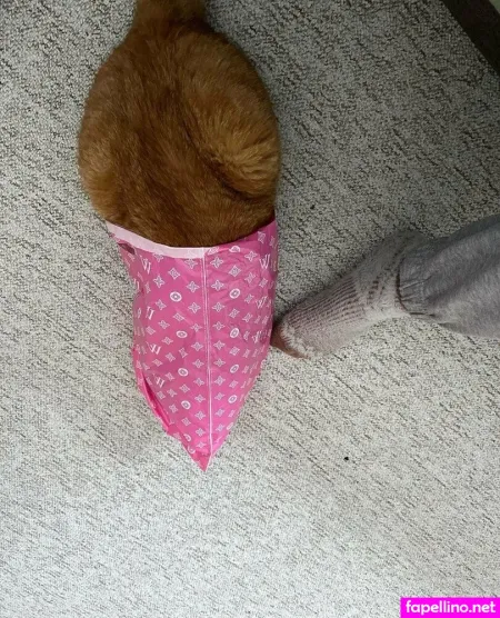 Girloftheforest OnlyFans Thumbnail #VtwXFvkthO