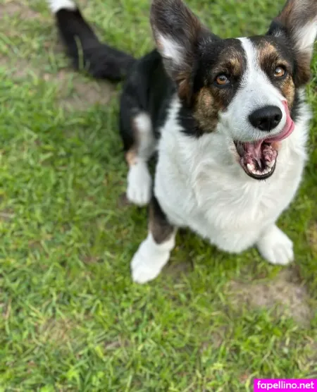 Girloftheforest OnlyFans Thumbnail #apqkTakdxP