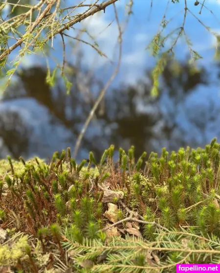 Girloftheforest OnlyFans Thumbnail #jZvPAeWiWQ