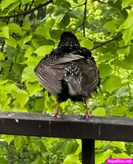 Girloftheforest OnlyFans Thumbnail #pFWkn7lFh1