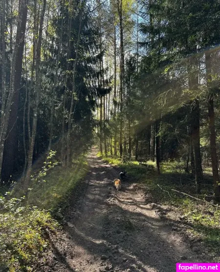 Girloftheforest OnlyFans Thumbnail #r3uuc88QrP