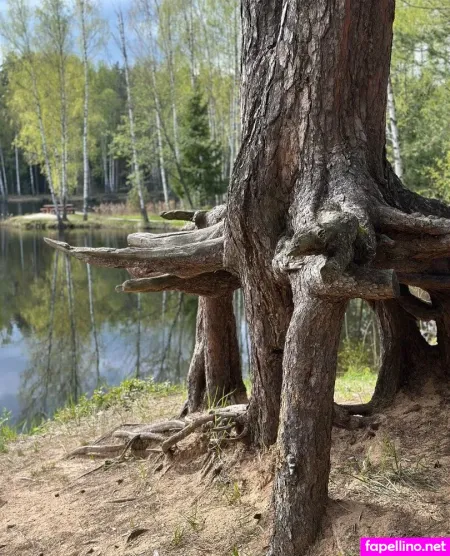 Girloftheforest OnlyFans Thumbnail #seDthsO11S