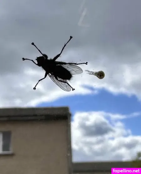 Girloftheforest OnlyFans Thumbnail #zirVt0Y3D6