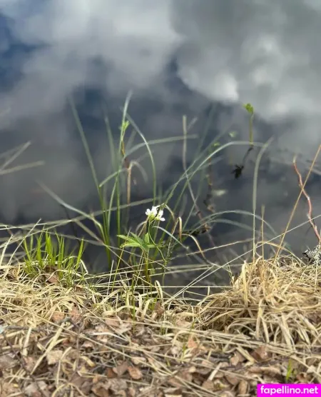 Girloftheforest OnlyFans Thumbnail #zji5sfGkXy