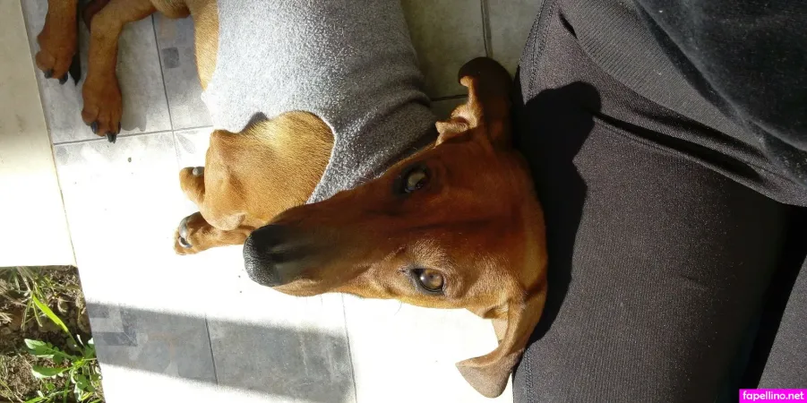 Giulirozzo OnlyFans Thumbnail #NjCVaF1OxN