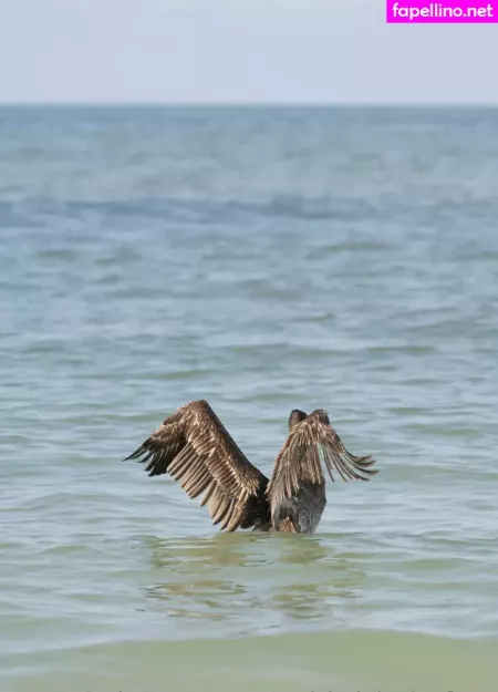 Gobirdsbabefree OnlyFans Thumbnail #bj68SwtiGY