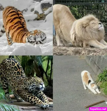 Goddessbendis2 OnlyFans Thumbnail #4wSCzSXs9n