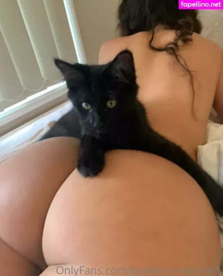 Goddessmaterial1 OnlyFans Thumbnail #H9ePuC0nmt