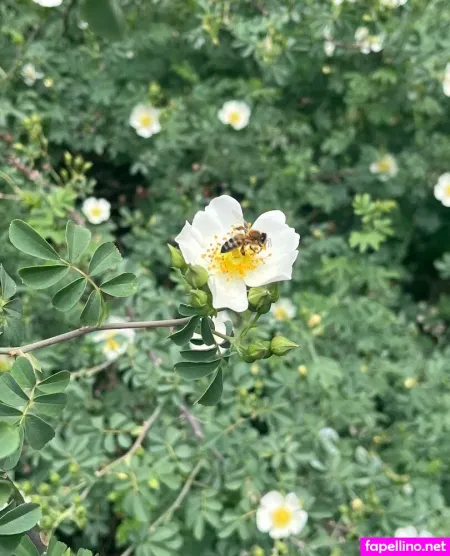 Goddessuniverseceleste OnlyFans Thumbnail #52mWNvtPxX