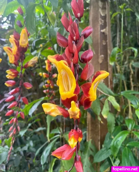 Goddessuniverseceleste OnlyFans Thumbnail #TXL3ksXjNw