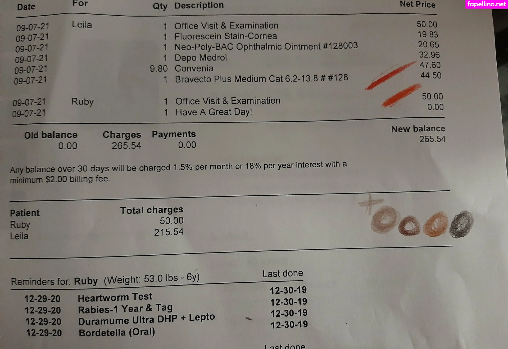 gorgeousgreeneyes Nude Leaked OnlyFans Photo #c6oOWn3CSD