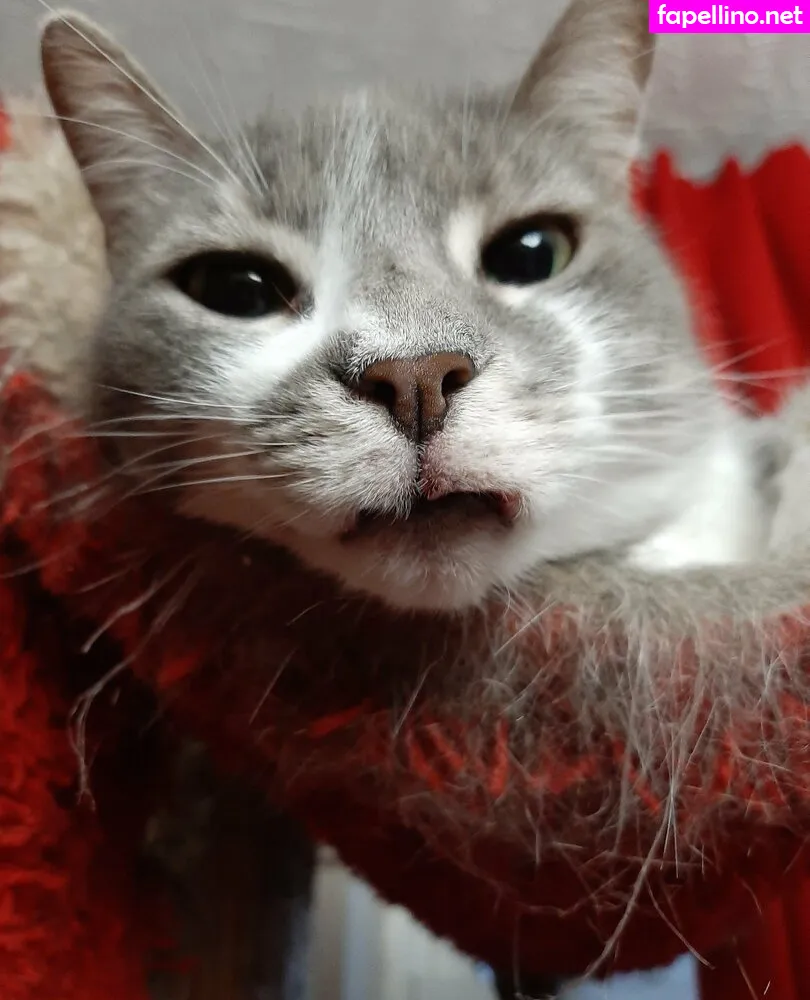 gorgeousgreeneyes Nude Leaked OnlyFans Photo #gXPlPSYftv