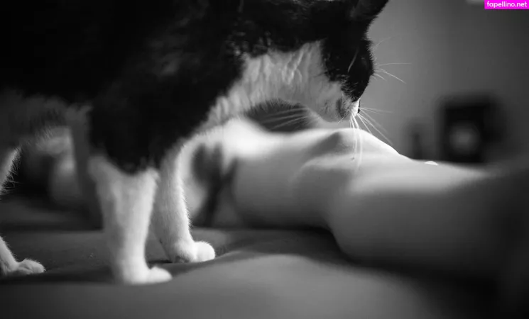 Grinsebaeckchen OnlyFans Thumbnail #zK94k4dJnm