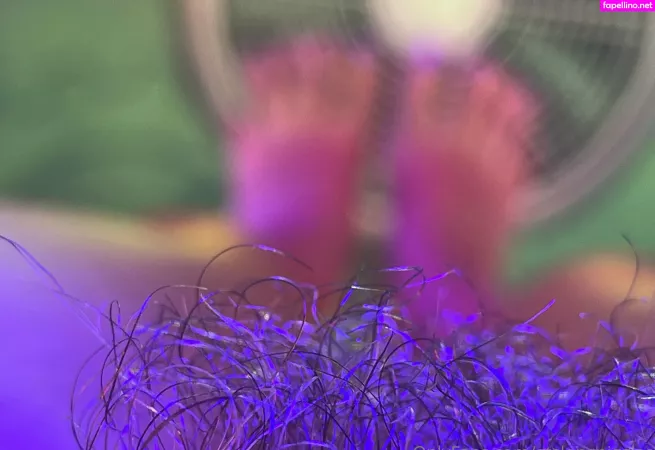 Gtslongpiggies OnlyFans Thumbnail #egdNZot70p