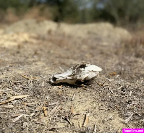 Gwithg OnlyFans Thumbnail #97wYXT9iLR