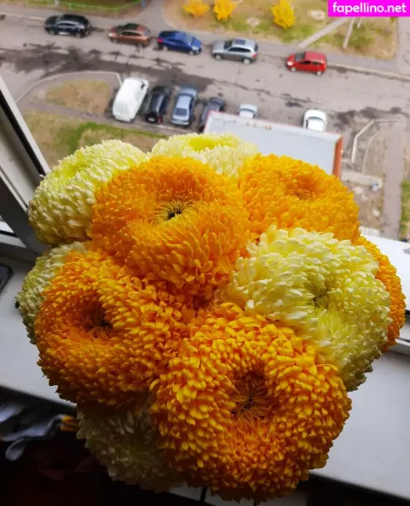 Ha Gram OnlyFans Thumbnail #fJdw8oNpMR