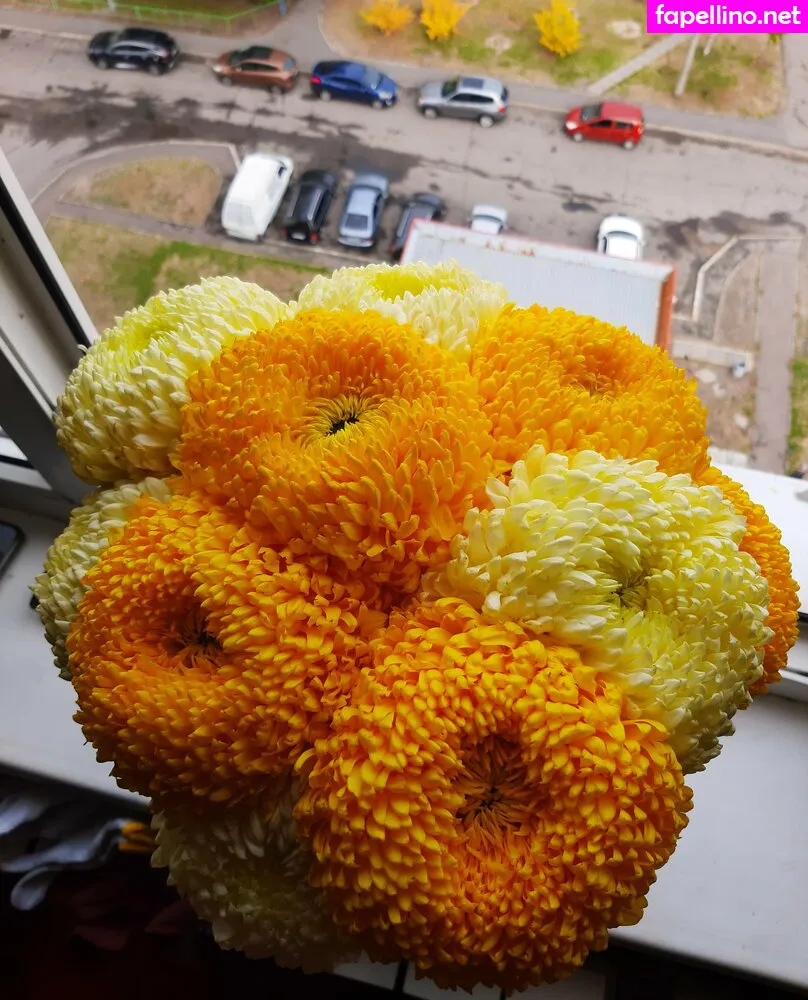 ha.gram Nude Leaked OnlyFans Photo #fJdw8oNpMR