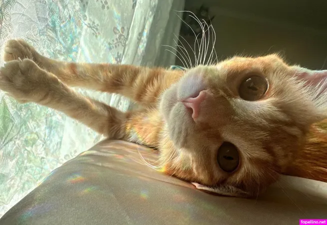 Haelee Moon OnlyFans Thumbnail #7ZbKmpUoi2