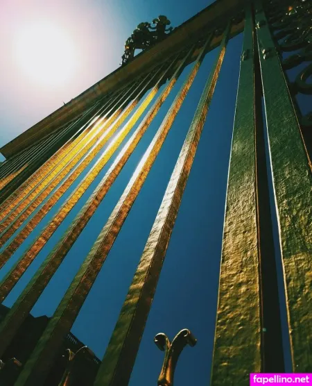 Haileywagner OnlyFans Thumbnail #P4j5pec686