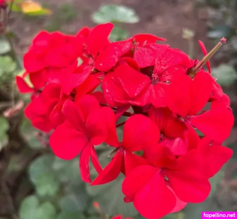 Hairy Luvo OnlyFans Thumbnail #IUIrkXIFmx