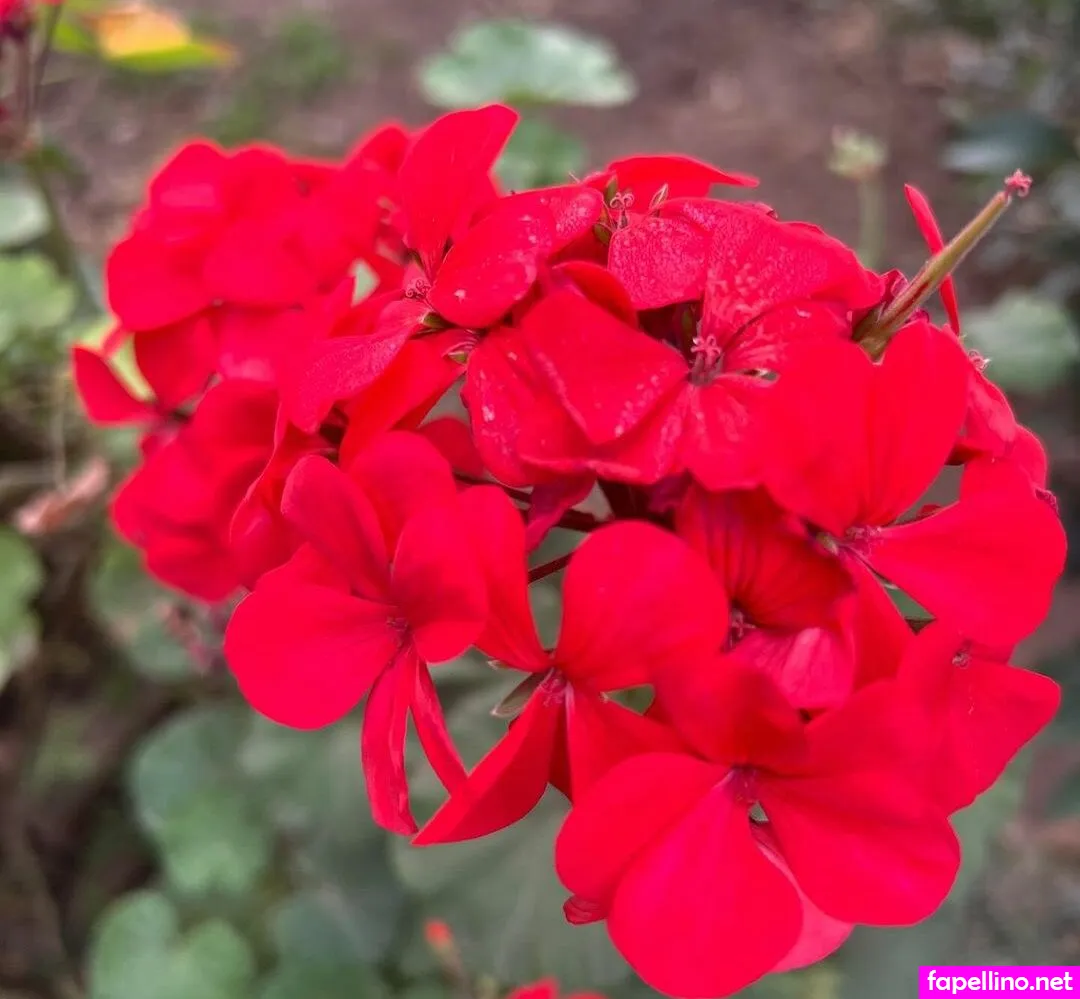 https:, luvoba, luvooba Nude Leaked OnlyFans Photo #IUIrkXIFmx