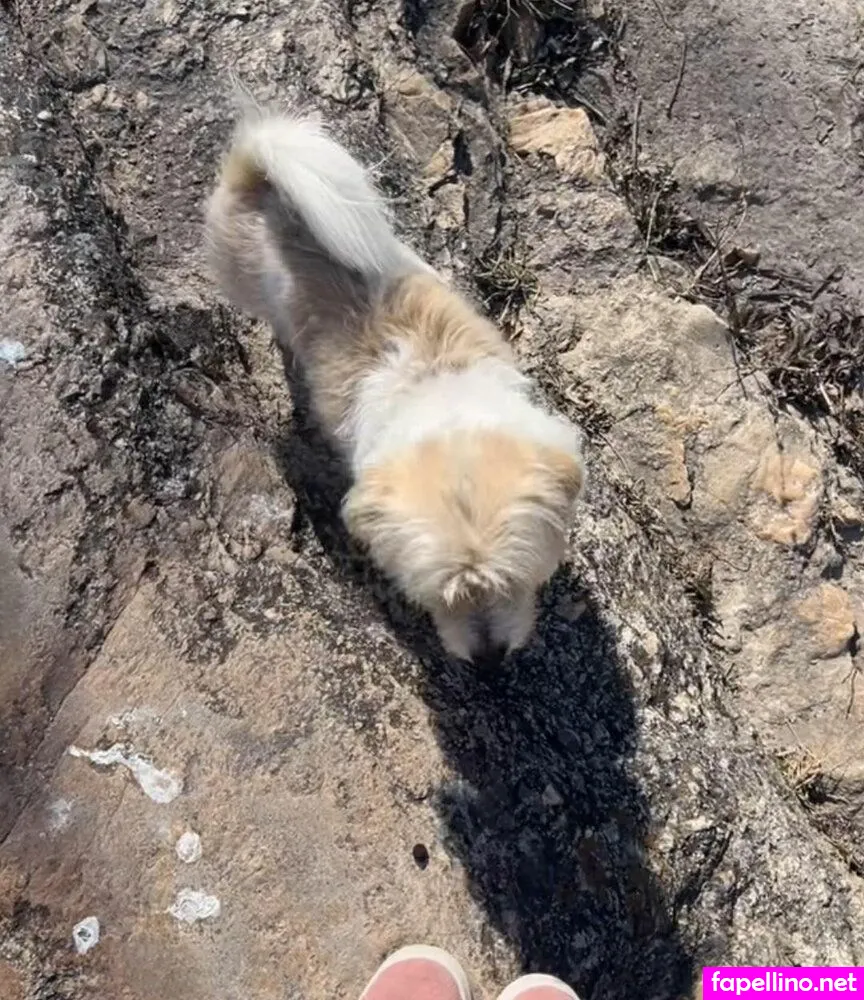 https:, luvoba, luvooba Nude Leaked OnlyFans Photo #LKE7ooSQtt