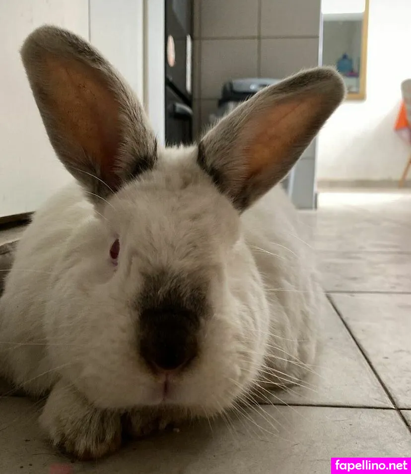 https:, luvoba, luvooba Nude Leaked OnlyFans Photo #S0tYoHLGzd