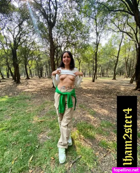 Hamsterespacial Main Profile Photo