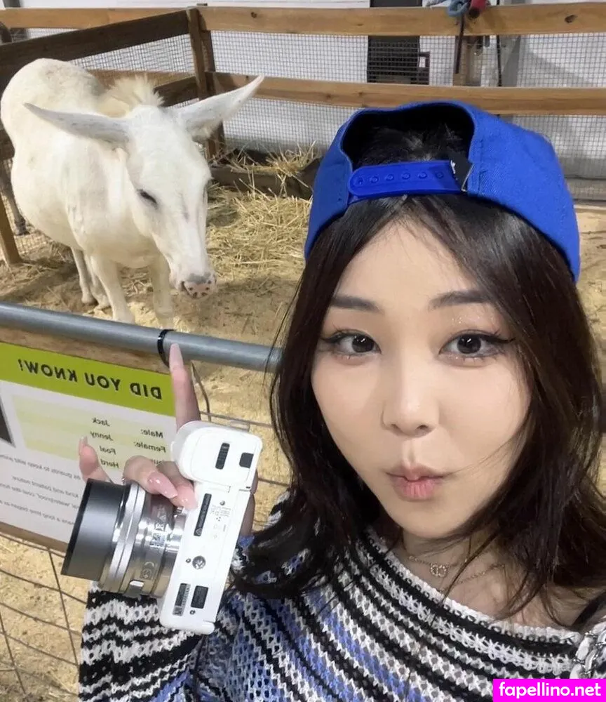 hanavocado_, nikocadoavocado Nude Leaked OnlyFans Photo #h3llc7H3zN