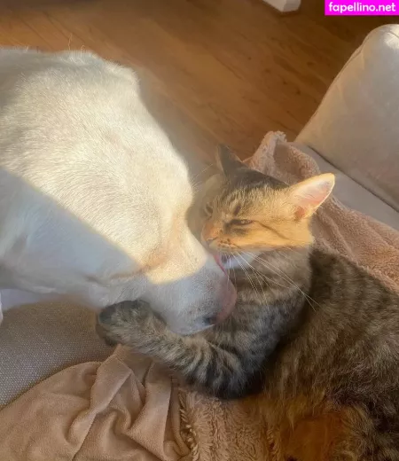 Hannahhitchner OnlyFans Thumbnail #bZepVeaaVM