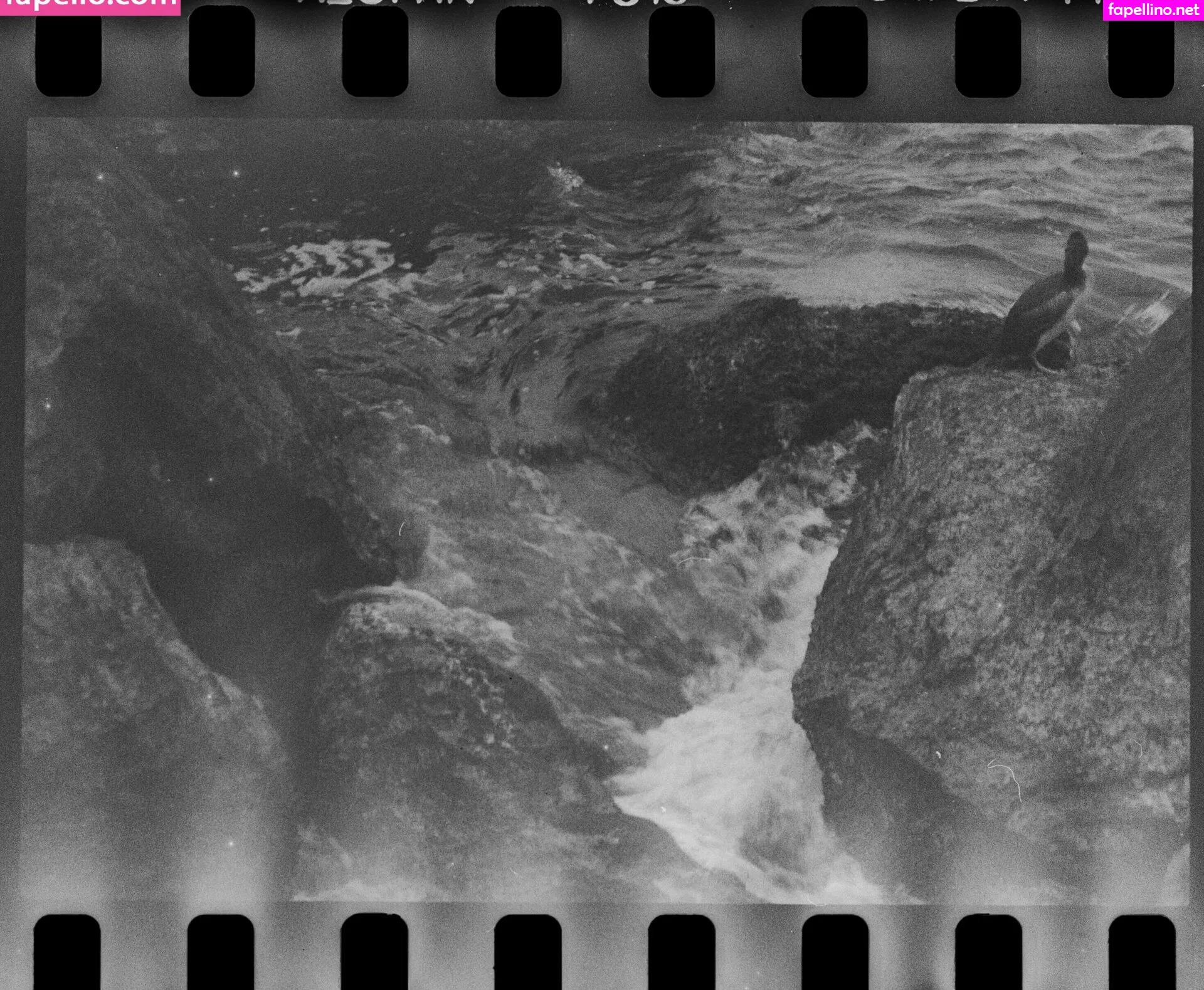 hanscphoto Nude Leaked OnlyFans Photo #OyAwCixGkc