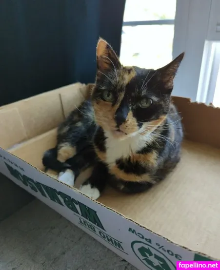 Hardcore Holly OnlyFans Thumbnail #hZpvsH56Jv