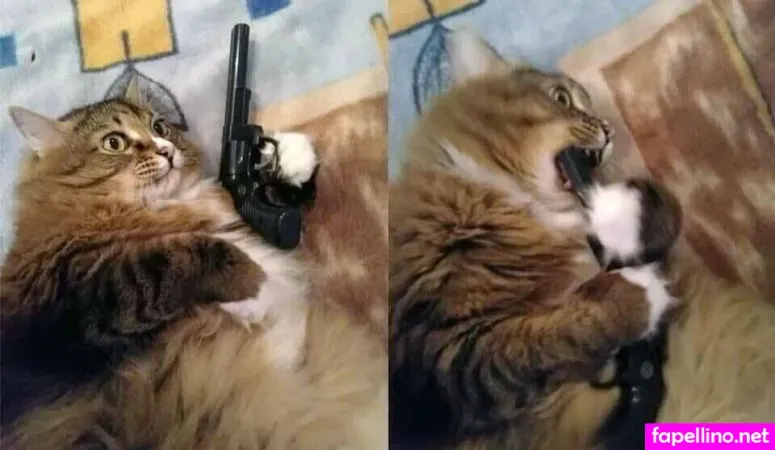 Hardwerk OnlyFans Thumbnail #hRmDLdm7c7