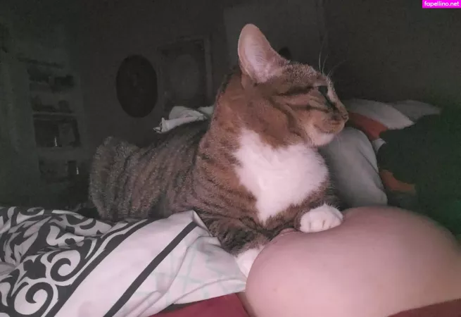 Harlowbbw OnlyFans Thumbnail #4TPI5b6Yld