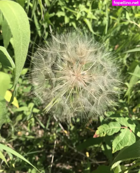 Harperlane OnlyFans Thumbnail #0rgKU8f5yK