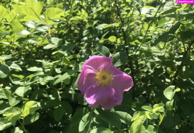 Harperlane OnlyFans Thumbnail #86sVe3bXoG