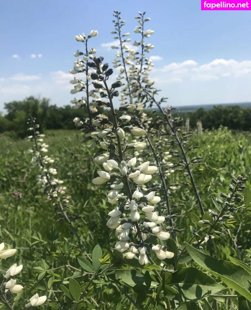 harperamelia_, harperlane Nude Leaked OnlyFans Photo #ZzPSYrq9sf