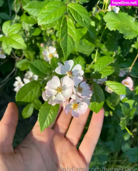 Harperlane OnlyFans Thumbnail #hAjQfq2PpC