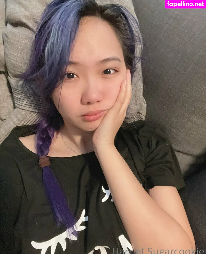 harrietsugarcookie, hsugarcookie, iamharrietsugarcookie Nude Leaked OnlyFans Photo #u2JWMrUGfl
