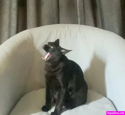 Hayashidareiko2 OnlyFans Thumbnail #mGAaJYM2HG