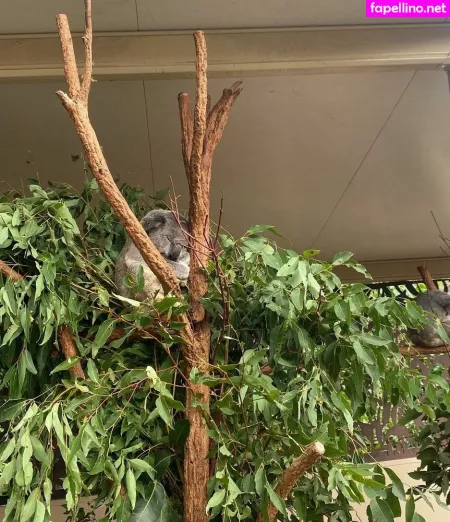 Heather OnlyFans Thumbnail #ctLzFNeGdz