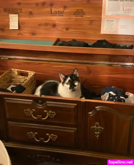 Heathersxo OnlyFans Thumbnail #uktuQdpmZf