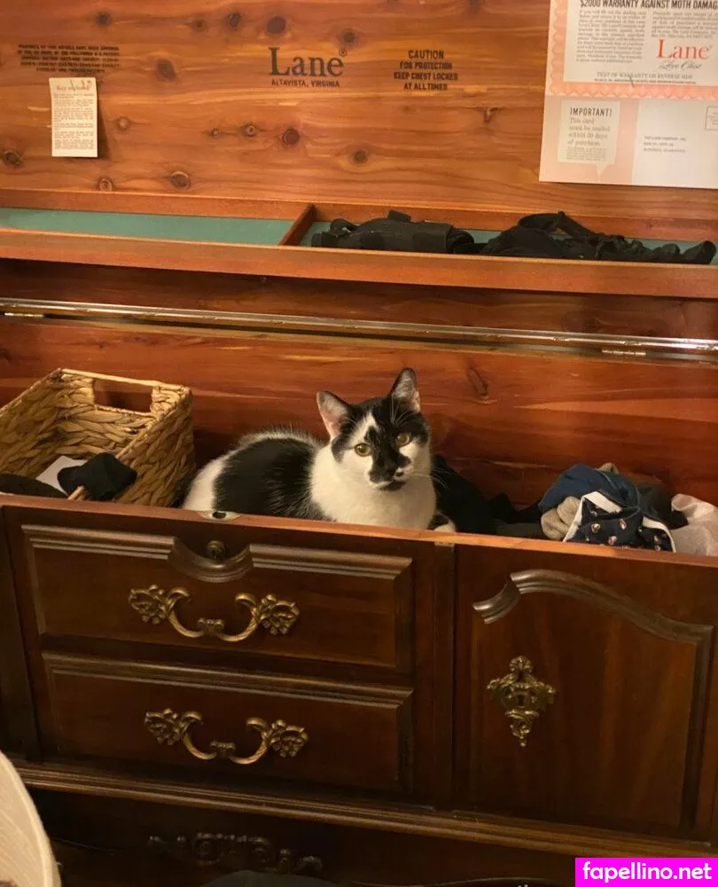 heathersxo Nude Leaked OnlyFans Photo #uktuQdpmZf