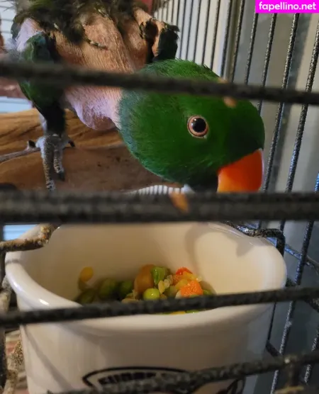 Heavenlyterp OnlyFans Thumbnail #DY3Ut8AEWx