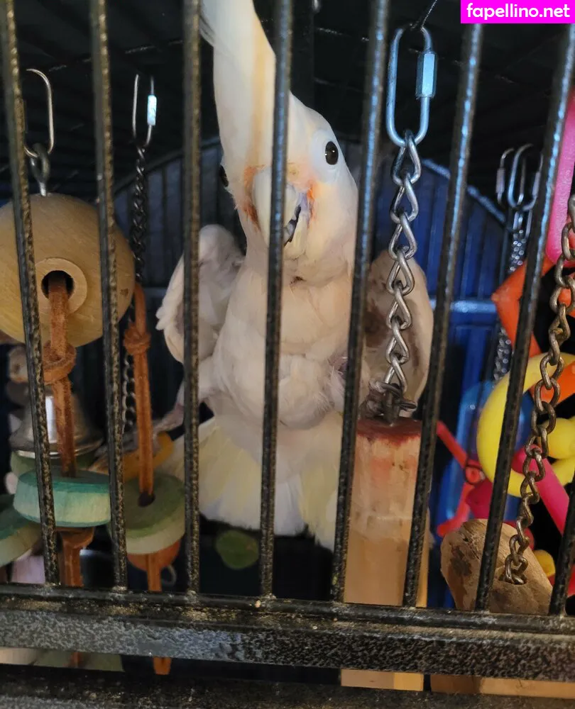 heavenlyterpvip, theheavenlyterp Nude Leaked OnlyFans Photo #haeNC76xMx