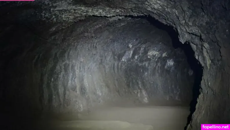 Heckwitch Main Profile Photo