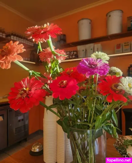 Helloeloise OnlyFans Thumbnail #uHiX4RAOIF