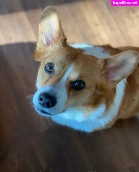 Hellsingqueen666 OnlyFans Thumbnail #3VAIvzXqnM