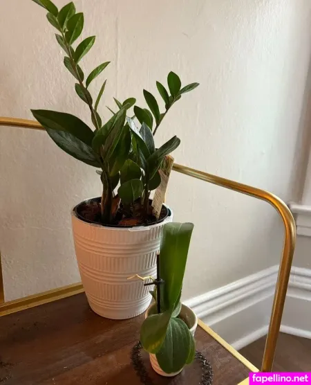 Hellterskelter8 OnlyFans Thumbnail #JXbe2ERmIt